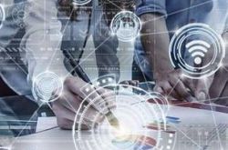 机会来的时候,唯快不破,熊市到底怎么吃肉?